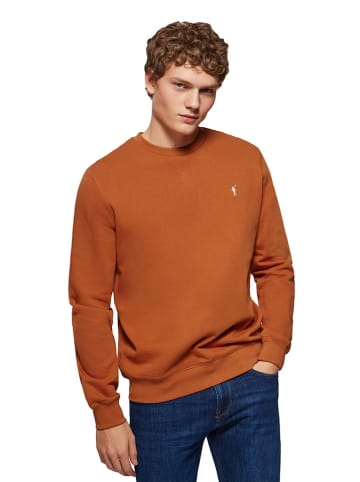 Polo Club Sweatshirt in Orange