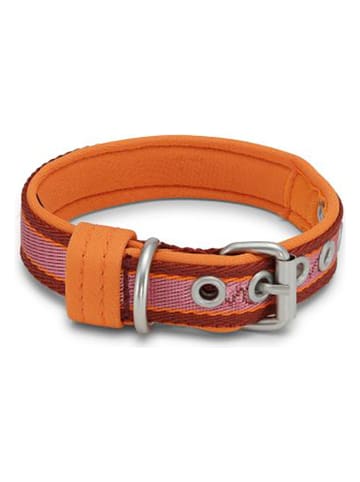 VOV & VUF Hondenhalsband oranje/rood