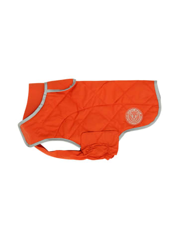 VOV & VUF Hundemantel in Orange