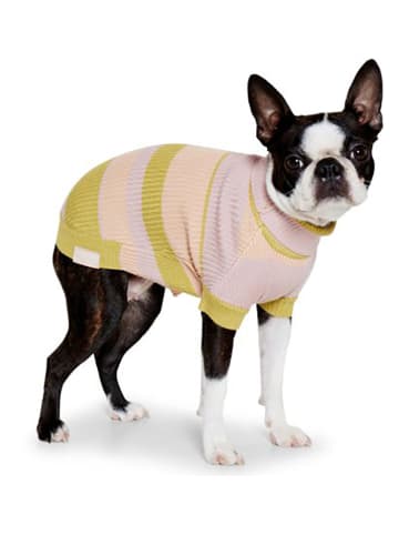 VOV & VUF Hundepullover in Beige/ Grün/ Rosa