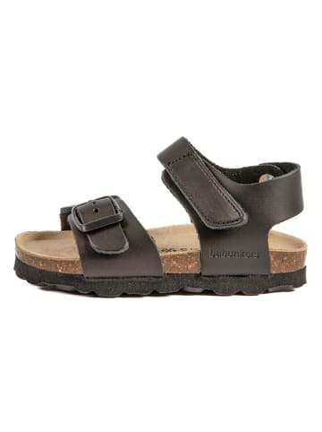 BABUNKERS Family Leder-Sandalen in Schwarz