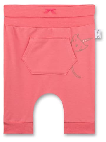 Sanetta Kidswear Spodnie dresowe w kolorze koralowym