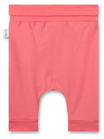 Sanetta Kidswear Spodnie dresowe w kolorze koralowym