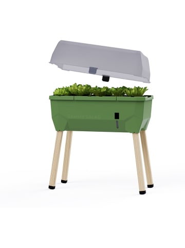 Gusta Garden Hochbeet "Sammy Salad" mit Frühbeethaube in Grün - (B)79 x (H)115 x (T)37,5 cm