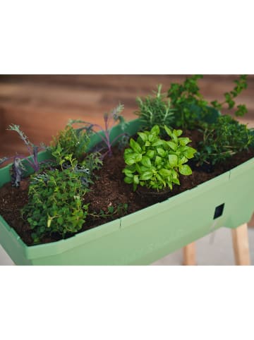 Gusta Garden Kweekbak "Sammy Salad" met kap groen - (B)79 x (H)115 x (D)37,5 cm