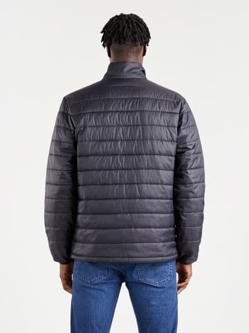 Levi´s Steppjacke in Schwarz