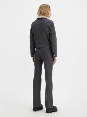 Levis Jeans "Superlow Boot" - Bootcut fit - in Anthrazit