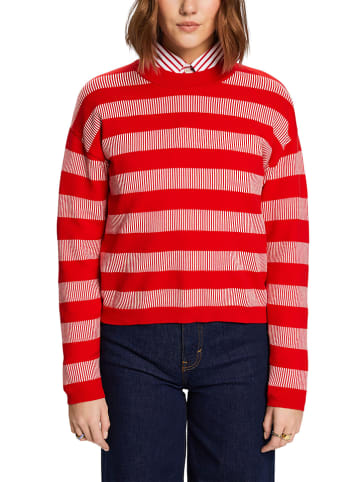 ESPRIT Pullover in Rot/ Weiß
