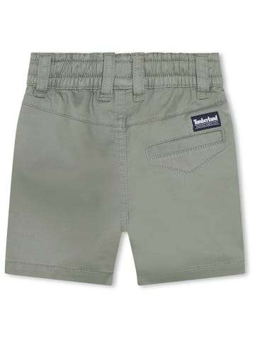 Timberland Shorts in Khaki