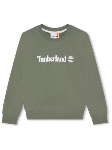 Timberland Bluza w kolorze khaki