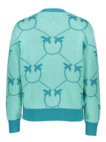 Pinko Pullover in Mint