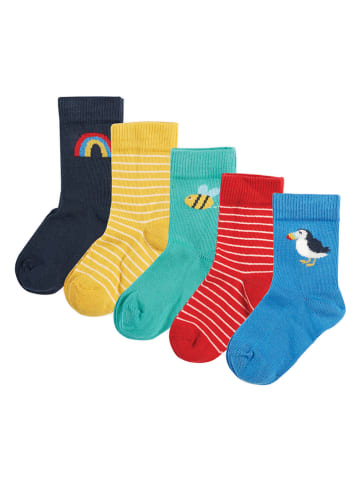 Frugi 5-delige set: sokken "Finlay" meerkleurig