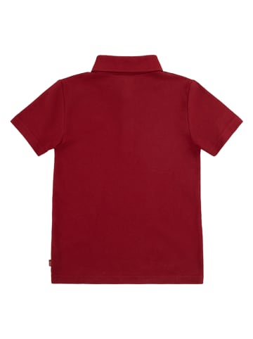 Levi's Kids Koszulka polo w kolorze bordowym