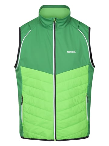 Regatta Hybridjacke "Steren" in Grün