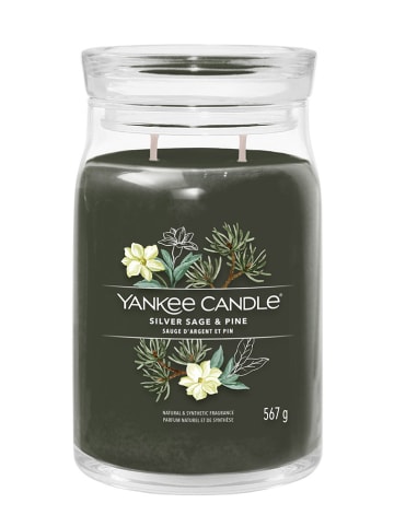 Yankee Candle Świeca zapachowa "Silver Sage & Pine" - 567 g