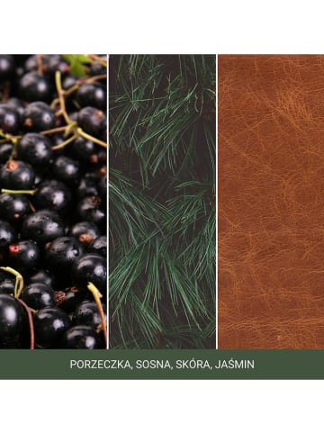 Yankee Candle Duftkerze "Silver Sage & Pine" - 567 g