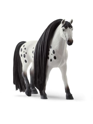 Schleich 8tlg. Set: Spielfiguren "Knabstrupper Stallion" - ab 4 Jahren