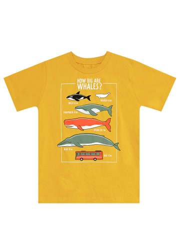 Denokids 2-częściowy zestaw "Whales" w kolorze żółto-antracytowym