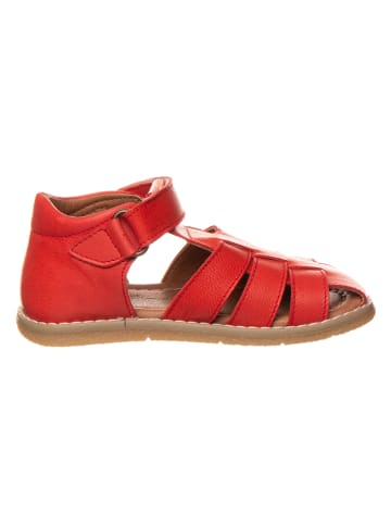 El Naturalista Leren enkelsandalen "Africa" rood