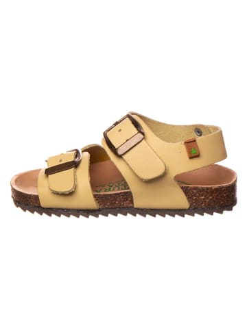 El Naturalista Leder-Sandalen in Gelb