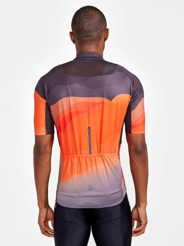 Craft Fietsshirt "ADV Endur Graphic" grijs/oranje