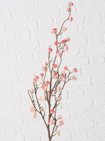 Boltze Decoratieve bloem "Pfirsichblüte" lichttroze/bruin - (H)23 cm