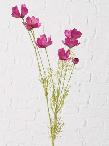 Boltze Decoratieve bloem "Cosmea" paars/groen - (H)10 cm