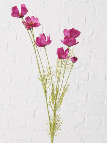 Boltze Dekoracyjny kwiat "Cosmea" w kolorze fioletowo-zielonym - wys. 10 cm