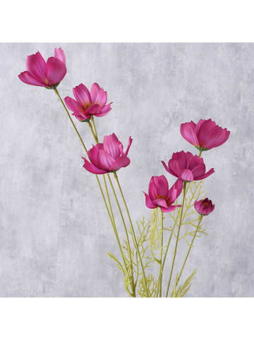 Boltze Decoratieve bloem "Cosmea" paars/groen - (H)10 cm