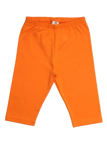 Walkiddy Leggings in Orange