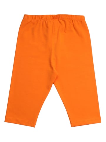 Walkiddy Leggings in Orange