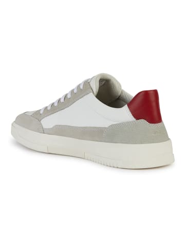 Geox Leder-Sneakers "Segnale" in Grau/ Weiß