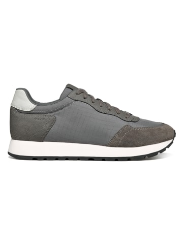Geox Leder-Sneakers "Partenio" in Grau