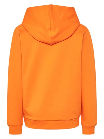 Hummel Hoodie in Orange in Orange
