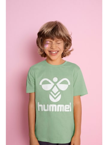 Hummel Shirt "Tres" in Grün