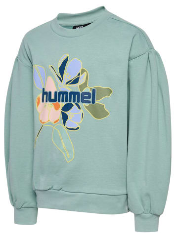 Hummel Sweatshirt "Terra" in Mint