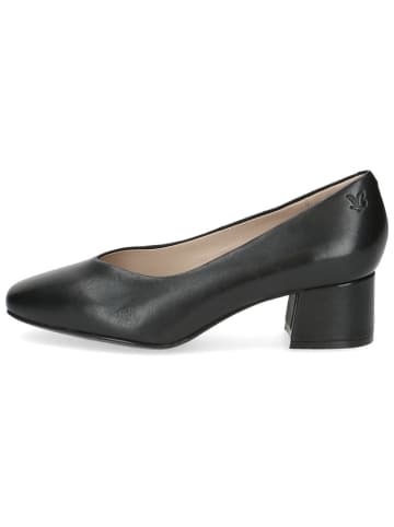 Caprice Leder-Pumps in Schwarz