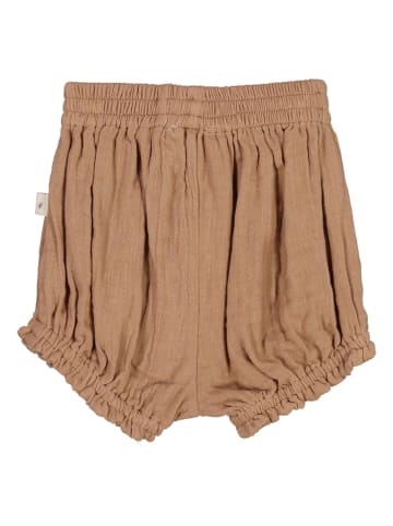 Wheat Shorts "Hiva" in Hellbraun