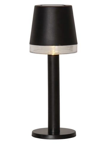 STAR Trading LED-Solar-Dekoration "Parvus" in Schwarz - (B)8 x (H)21 cm