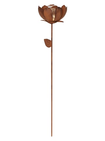 STAR Trading Ledsolartuinsteker "Oxida" goudkleurig - (H)51 cm
