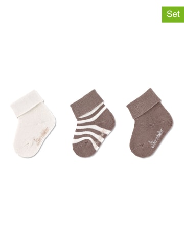 Sterntaler 3er-Set: Baby-Socken in Hellbraun/ Weiß