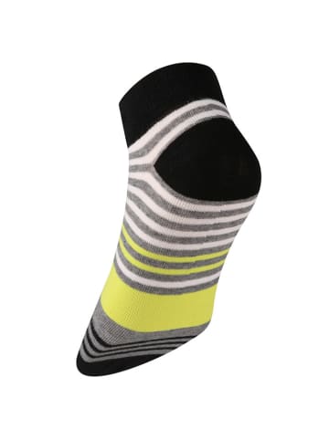 DKNY 3er-Set: Socken in Bunt