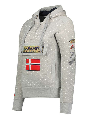 Geographical Norway Bluza "Gymclass" w kolorze szarym
