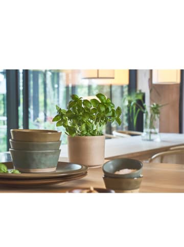 Villa Collection Overpot beige - (H)13 x Ø 11 cm