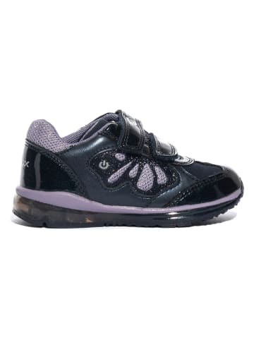 Geox Sneakers "Todo" paars/donkerblauw