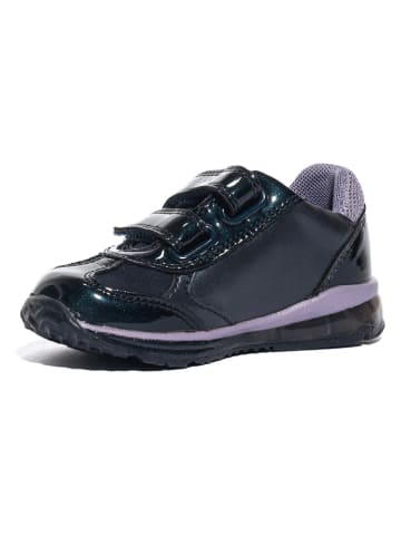 Geox Sneakers "Todo" paars/donkerblauw