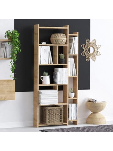Scandinavia Concept Bücherregal "Momo" in Eiche - (B)65 x (H)150 x (T)15 cm