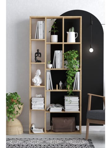Scandinavia Concept Bücherregal "Demios" in Eiche - (B)75 x (H)170 x (T)18 cm