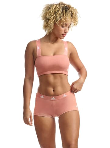 adidas Bustier in Apricot