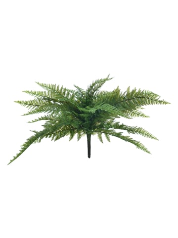 InArt Kunstplant groen - (B)70 x (H)40 x (D)70 cm